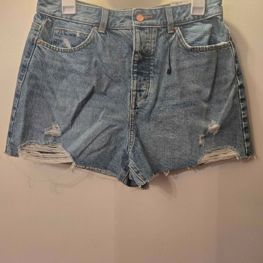 Zara Blue Distressed Jean Shorts